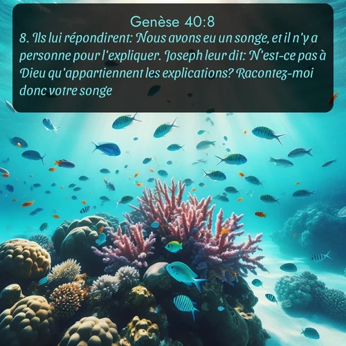 Segond Genèse  ; image nature: image avec le verset biblique :Ils lui répondirent: Nous avons eu un songe, et il n&#039;y a personne pour l&#039;expliquer. Joseph leur dit: N&#039;est-ce pas à Dieu qu&#039;appartiennent les explications? Racontez-moi donc votre songe. ;  ; 40:8