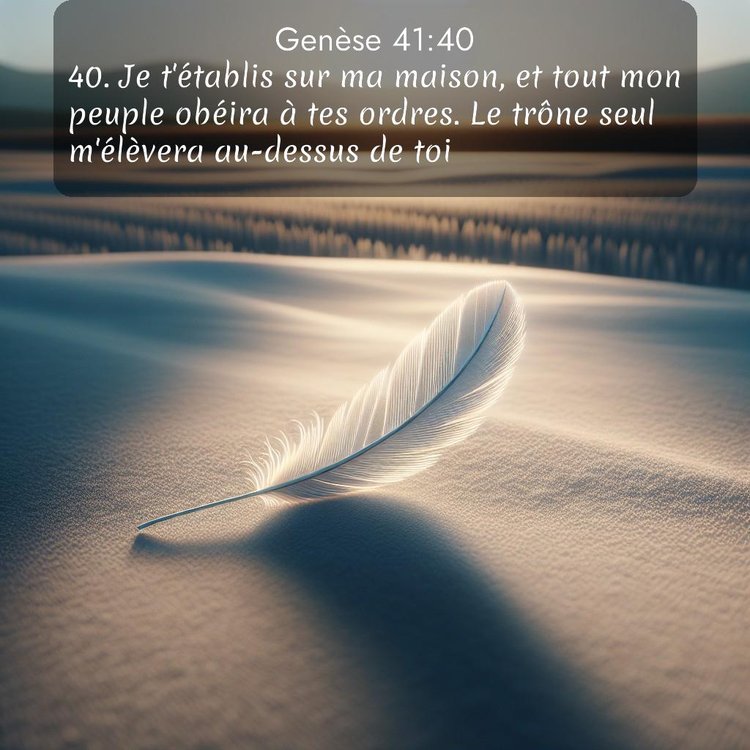 Segond Genèse 41:40