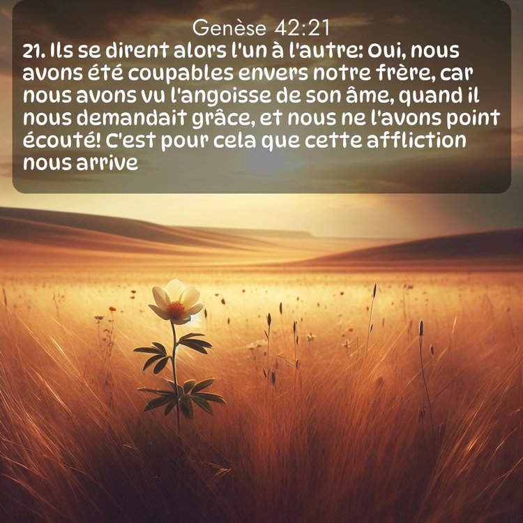 Segond Genèse 42:21