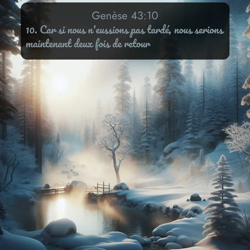 Segond Genèse  ; image nature: image avec le verset biblique :Car si nous n&#039;eussions pas tardé, nous serions maintenant deux fois de retour. ;  ; 43:10