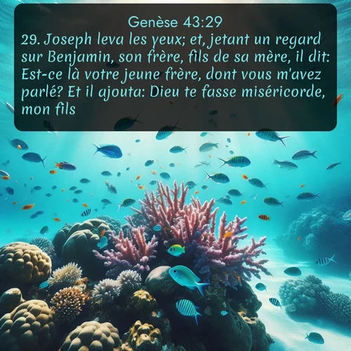 Segond Genèse  ; image nature: image avec le verset biblique :Joseph leva les yeux; et, jetant un regard sur Benjamin, son frère, fils de sa mère, il dit: Est-ce là votre jeune frère, dont vous m&#039;avez parlé? Et il ajouta: Dieu te fasse miséricorde, mon fils! ;  ; 43:29