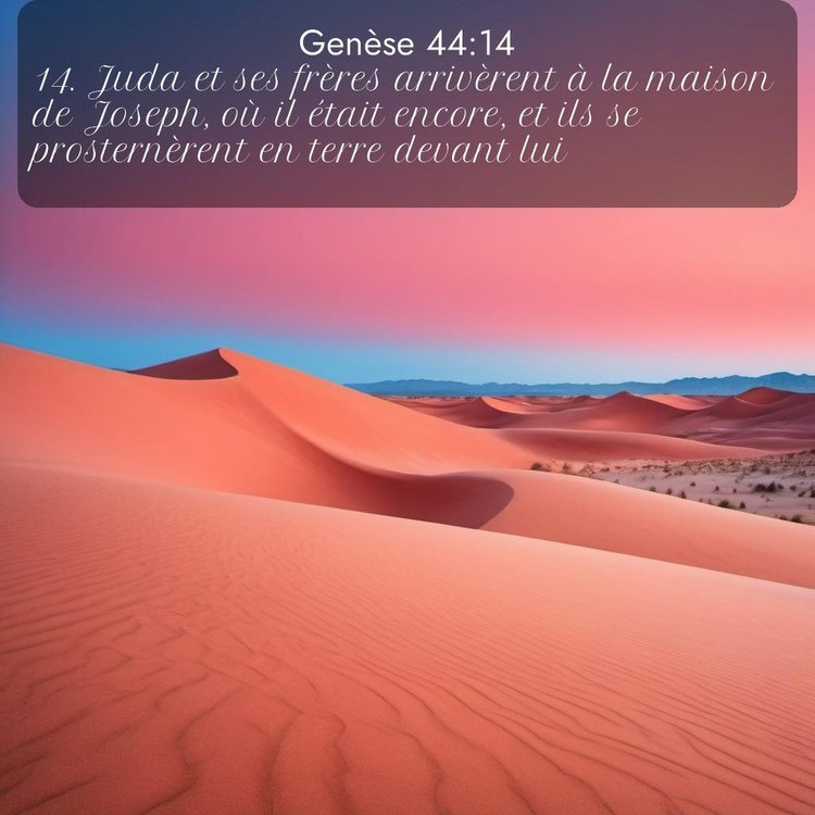 Segond Genèse 44:14