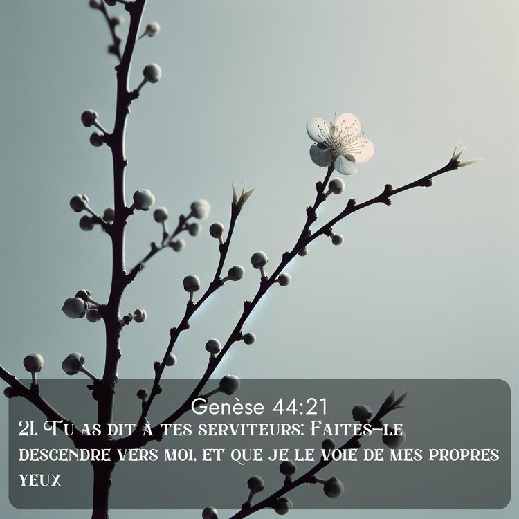 Segond Genèse 44:21