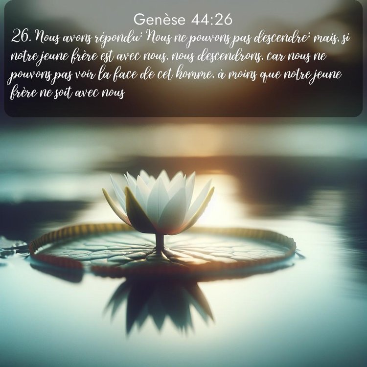 Segond Genèse 44:26