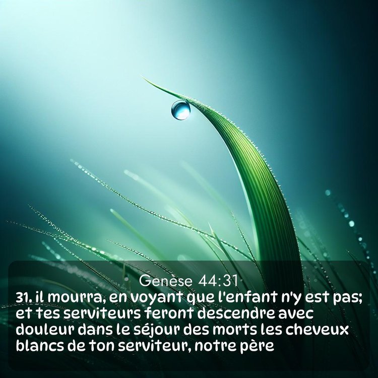 Segond Genèse 44:31