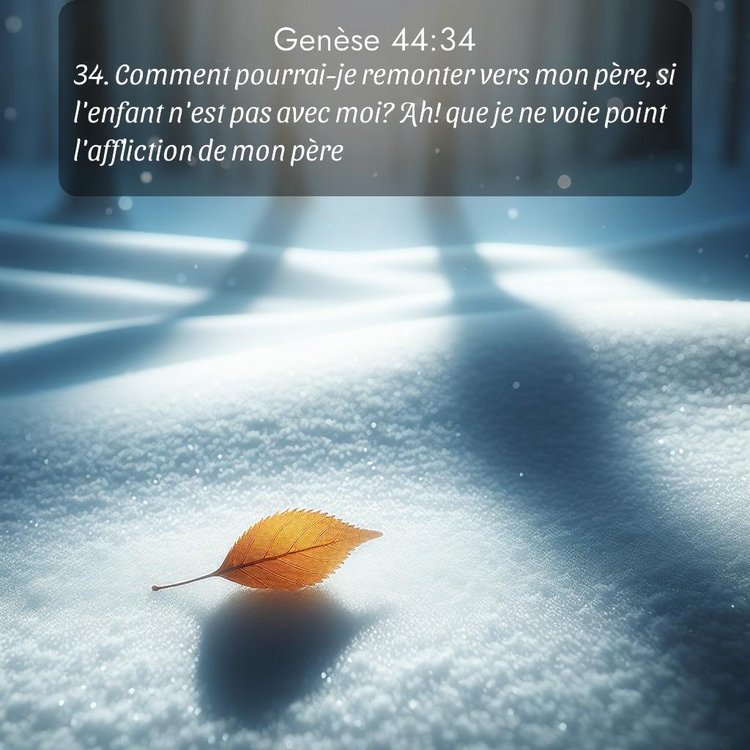 Segond Genèse 44:34