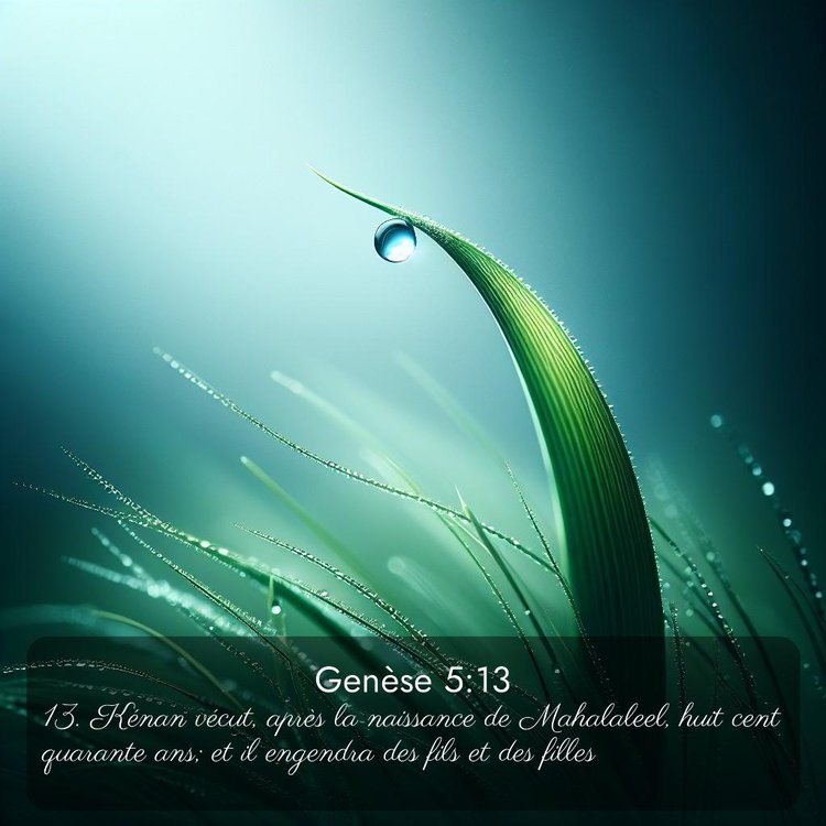 Segond Genèse 5:13