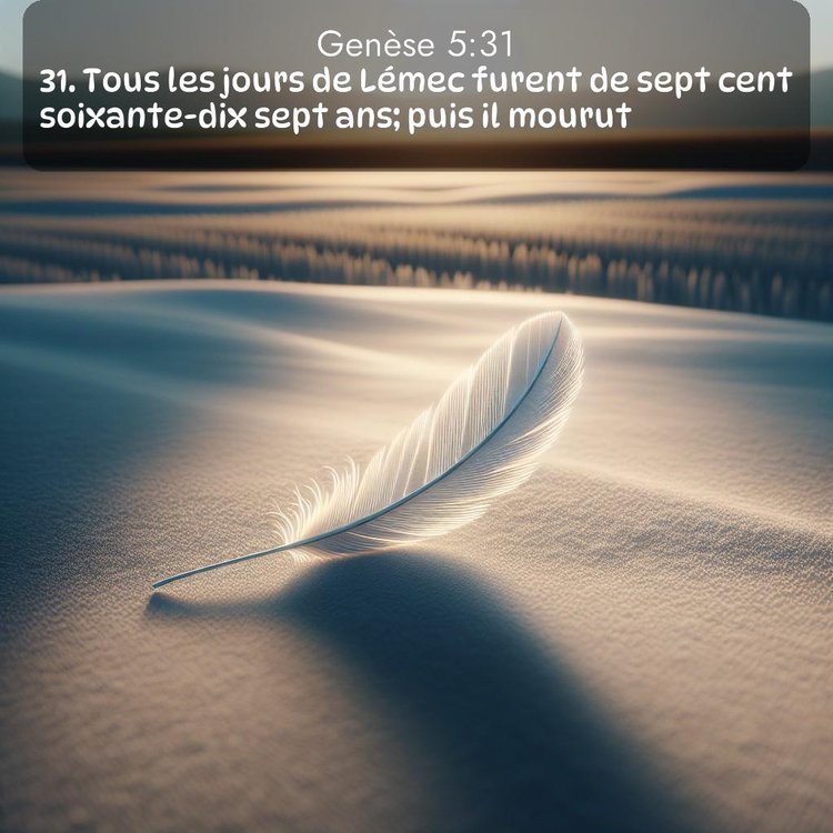 Segond Genèse 5:31