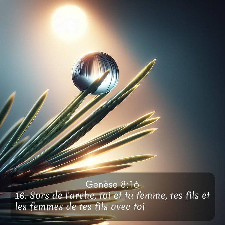 Segond Genèse 8:16