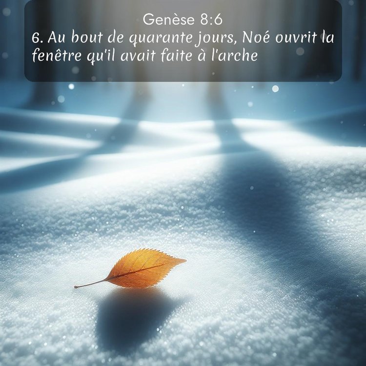 Segond Genèse 8:6