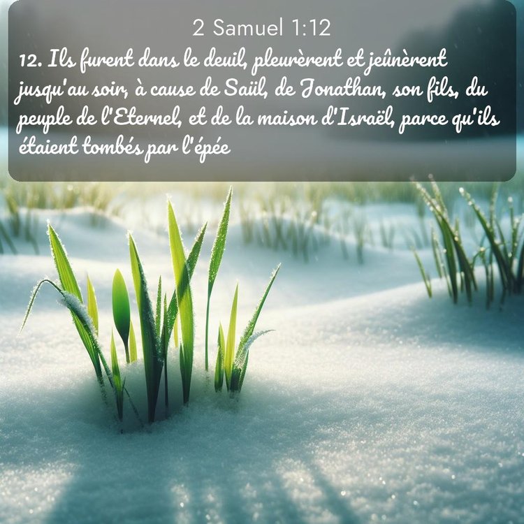 image nature avec verset biblique de la Bible