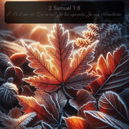 Segond 2 Samuel  ; image nature: image avec le verset biblique :Et il me dit: Qui es-tu? Je lui répondis: Je suis Amalécite. ;  ; 1:8