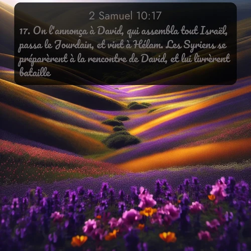 Segond 2 Samuel  ; image nature: image avec le verset biblique :On l&#039;annonça à David, qui assembla tout Israël, passa le Jourdain, et vint à Hélam. Les Syriens se préparèrent à la rencontre de David, et lui livrèrent bataille. ;  ; 10:17