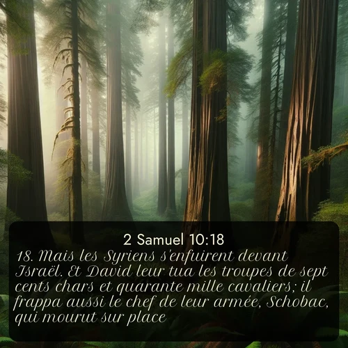 Segond 2 Samuel  ; image nature: image avec le verset biblique :Mais les Syriens s&#039;enfuirent devant Israël. Et David leur tua les troupes de sept cents chars et quarante mille cavaliers; il frappa aussi le chef de leur armée, Schobac, qui mourut sur place. ;  ; 10:18