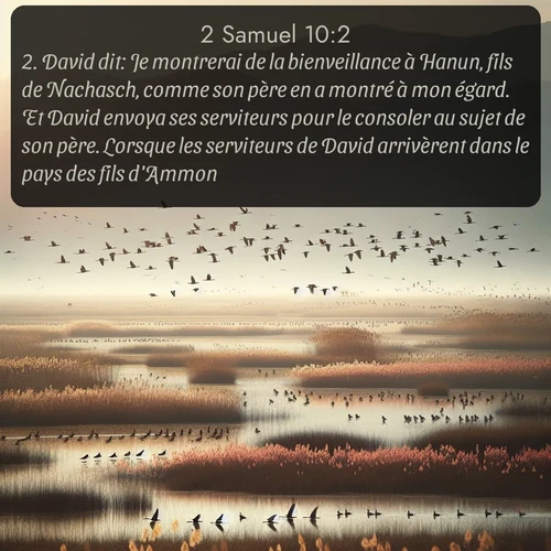 Segond 2 Samuel  ; image nature: image avec le verset biblique :David dit: Je montrerai de la bienveillance à Hanun, fils de Nachasch, comme son père en a montré à mon égard. Et David envoya ses serviteurs pour le consoler au sujet de son père. Lorsque les serviteurs de David arrivèrent dans le pays des fils d&#039;Ammon, ;  ; 10:2