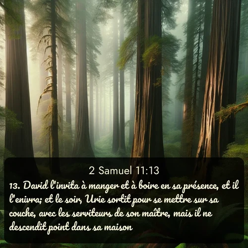 Segond 2 Samuel  ; image nature: image avec le verset biblique :David l&#039;invita à manger et à boire en sa présence, et il l&#039;enivra; et le soir, Urie sortit pour se mettre sur sa couche, avec les serviteurs de son maître, mais il ne descendit point dans sa maison. ;  ; 11:13