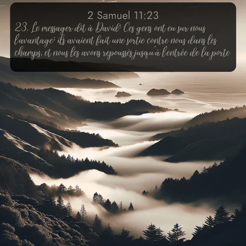 Segond 2 Samuel  ; image nature: image avec le verset biblique :Le messager dit à David: Ces gens ont eu sur nous l&#039;avantage; ils avaient fait une sortie contre nous dans les champs, et nous les avons repoussés jusqu&#039;à l&#039;entrée de la porte; ;  ; 11:23