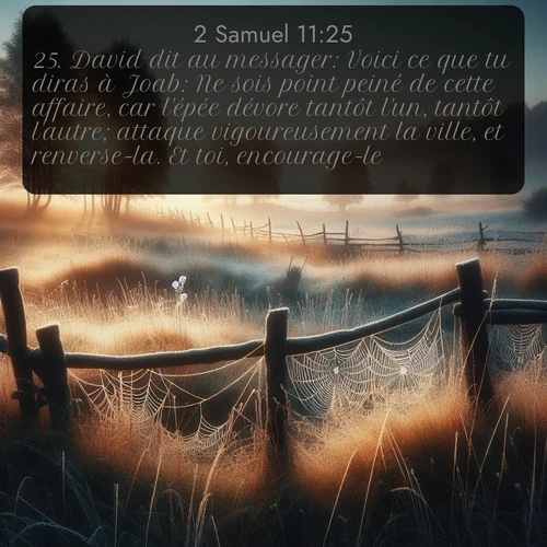 Segond 2 Samuel  ; image nature: image avec le verset biblique :David dit au messager: Voici ce que tu diras à Joab: Ne sois point peiné de cette affaire, car l&#039;épée dévore tantôt l&#039;un, tantôt l&#039;autre; attaque vigoureusement la ville, et renverse-la. Et toi, encourage-le! ;  ; 11:25