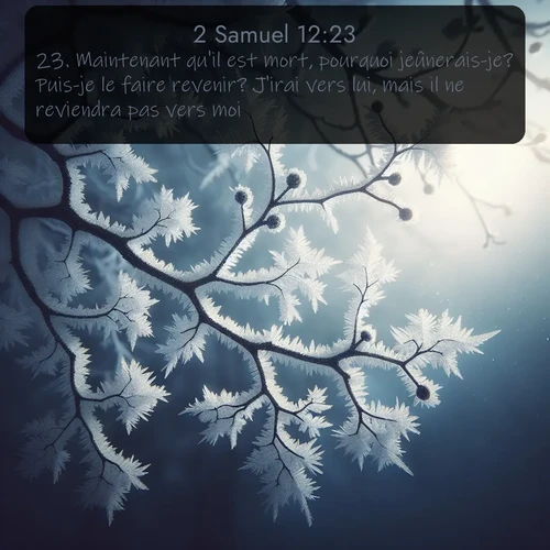 Segond 2 Samuel  ; image nature: image avec le verset biblique :Maintenant qu&#039;il est mort, pourquoi jeûnerais-je? Puis-je le faire revenir? J&#039;irai vers lui, mais il ne reviendra pas vers moi. ;  ; 12:23