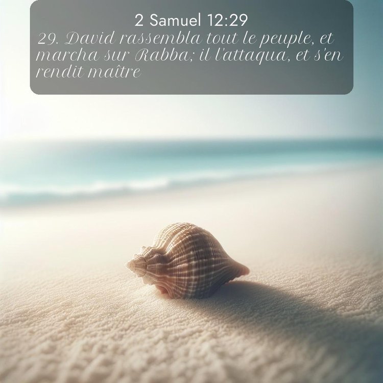 Segond 2 Samuel 12:29