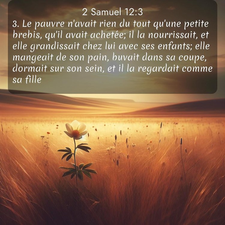 Segond 2 Samuel 12:3