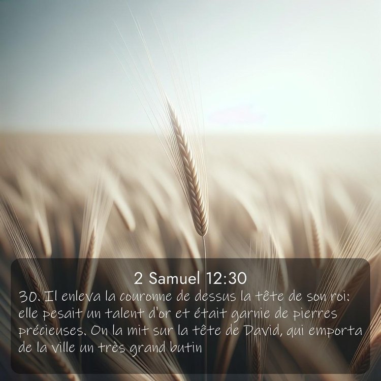 Segond 2 Samuel 12:30