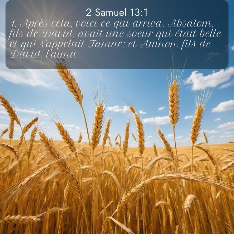 Segond 2 Samuel 13:1