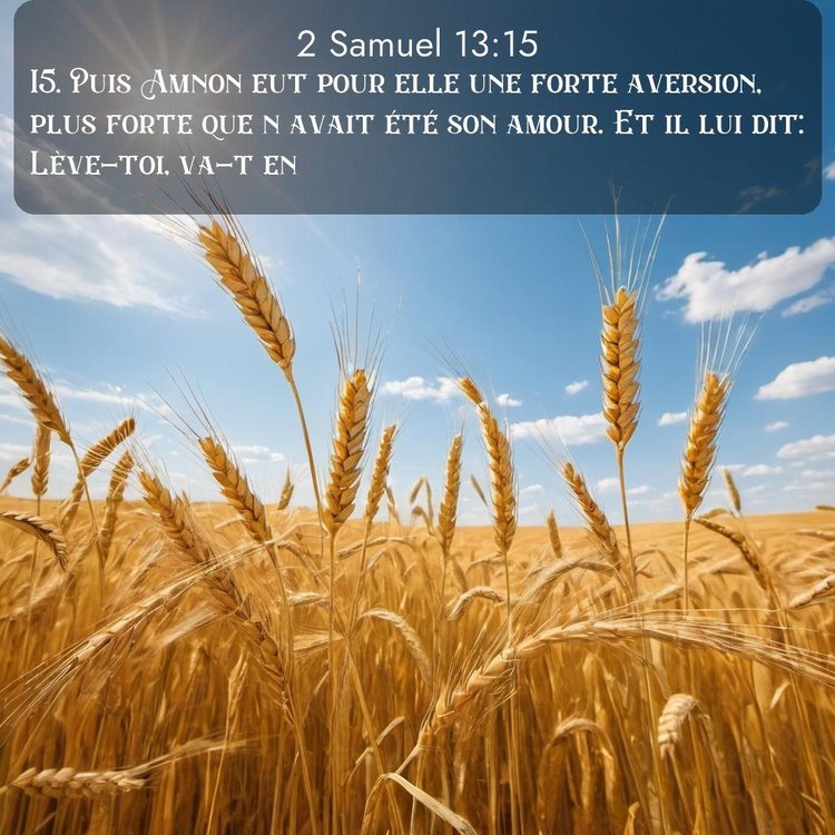 Segond 2 Samuel 13:15