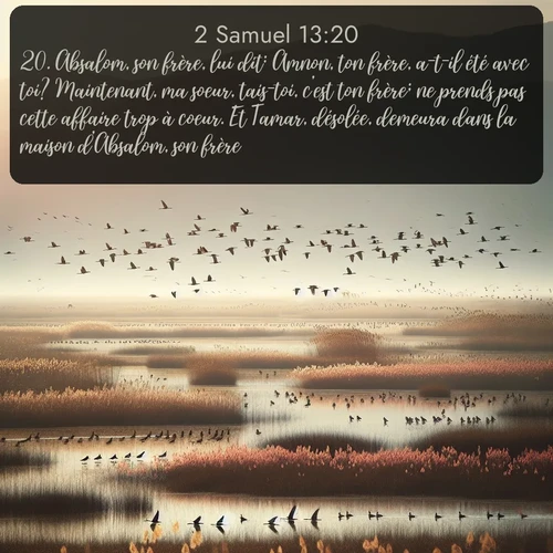Segond 2 Samuel  ; image nature: image avec le verset biblique :Absalom, son frère, lui dit: Amnon, ton frère, a-t-il été avec toi? Maintenant, ma soeur, tais-toi, c&#039;est ton frère; ne prends pas cette affaire trop à coeur. Et Tamar, désolée, demeura dans la maison d&#039;Absalom, son frère. ;  ; 13:20