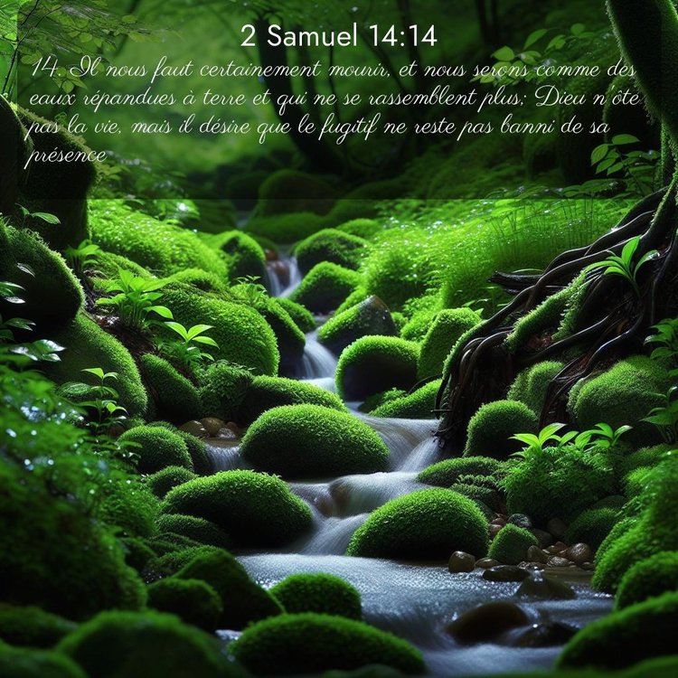 image nature avec verset biblique de la Bible