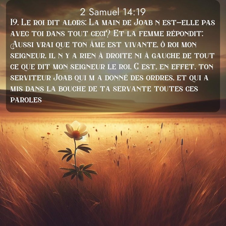 Segond 2 Samuel 14:19