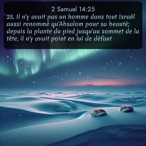 Segond 2 Samuel  ; image nature: image avec le verset biblique :Il n&#039;y avait pas un homme dans tout Israël aussi renommé qu&#039;Absalom pour sa beauté; depuis la plante du pied jusqu&#039;au sommet de la tête, il n&#039;y avait point en lui de défaut. ;  ; 14:25