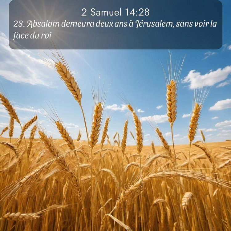 Segond 2 Samuel 14:28