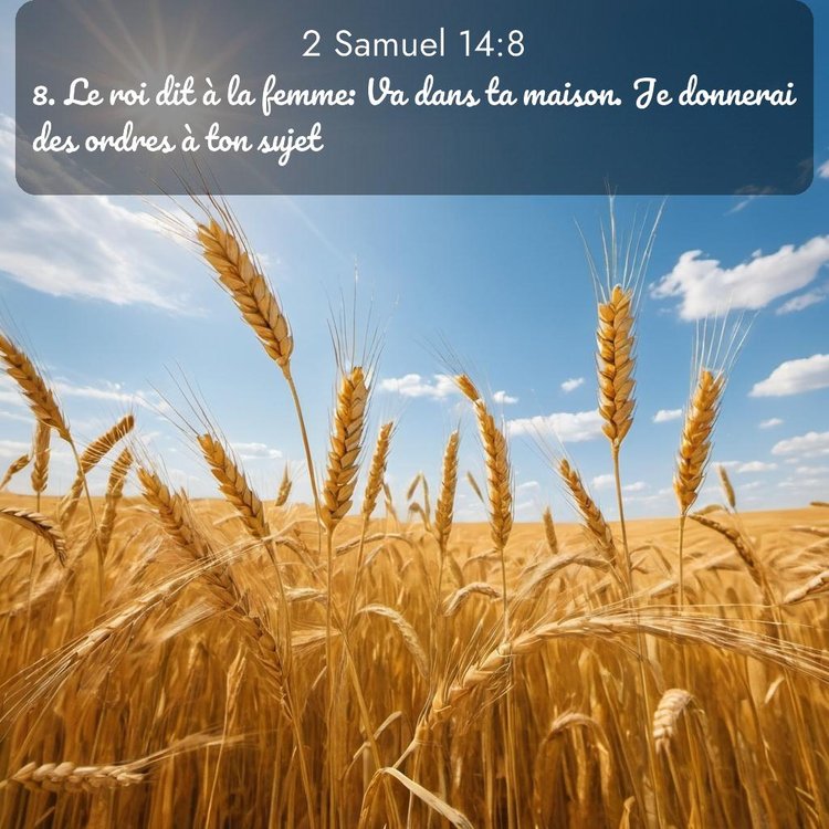 Segond 2 Samuel 14:8