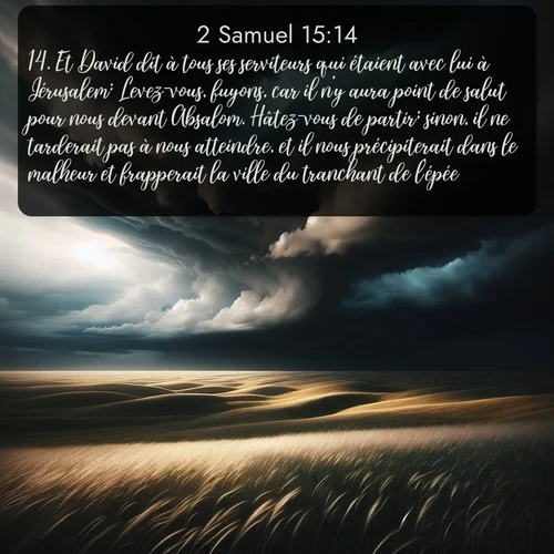 Segond 2 Samuel  ; image nature: image avec le verset biblique :Et David dit à tous ses serviteurs qui étaient avec lui à Jérusalem: Levez-vous, fuyons, car il n&#039;y aura point de salut pour nous devant Absalom. Hâtez-vous de partir; sinon, il ne tarderait pas à nous atteindre, et il nous précipiterait dans le malheur et frapperait la ville du tranchant de l&#039;épée. ;  ; 15:14