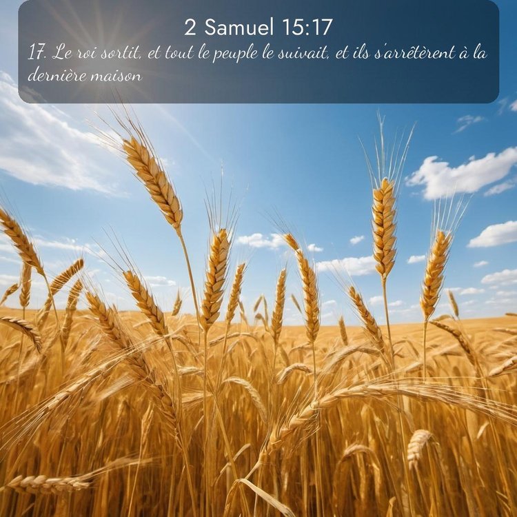 image nature avec verset biblique de la Bible