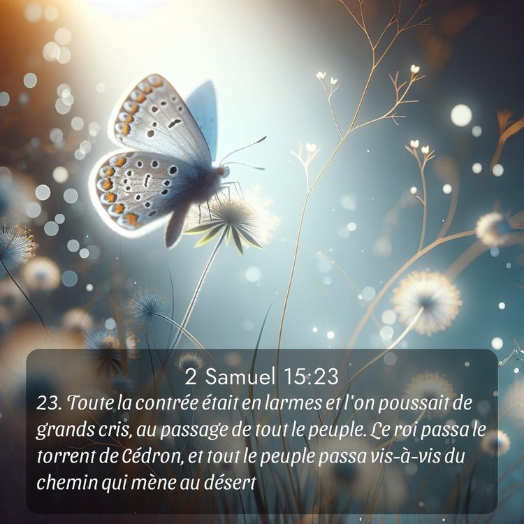 Segond 2 Samuel 15:23