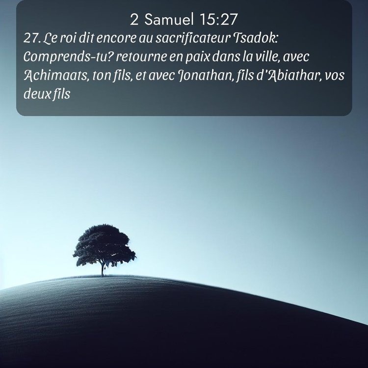 Segond 2 Samuel 15:27