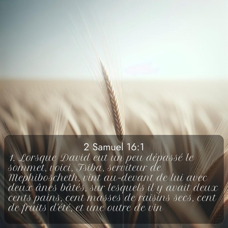 Segond 2 Samuel 16:1