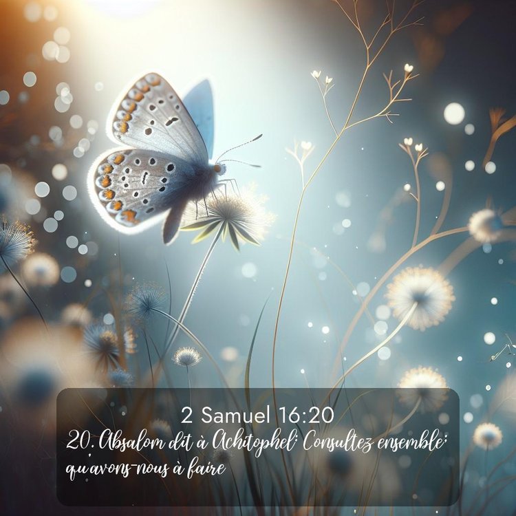 Segond 2 Samuel 16:20