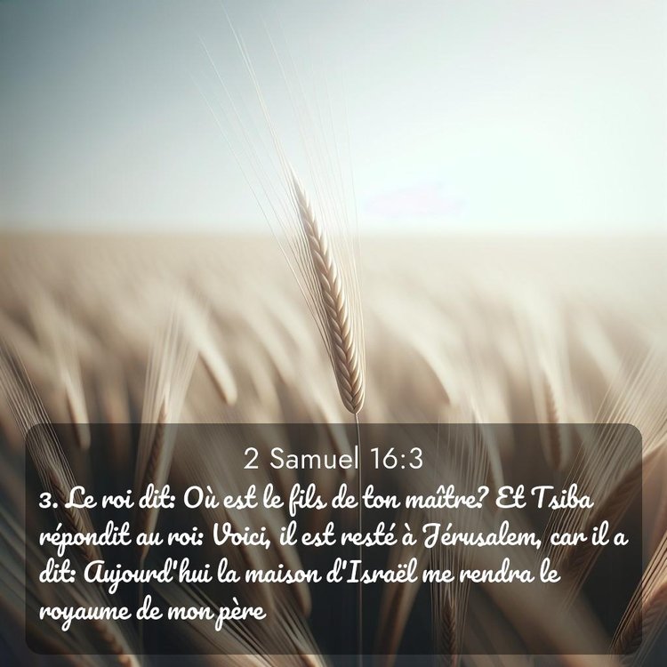 Segond 2 Samuel 16:3