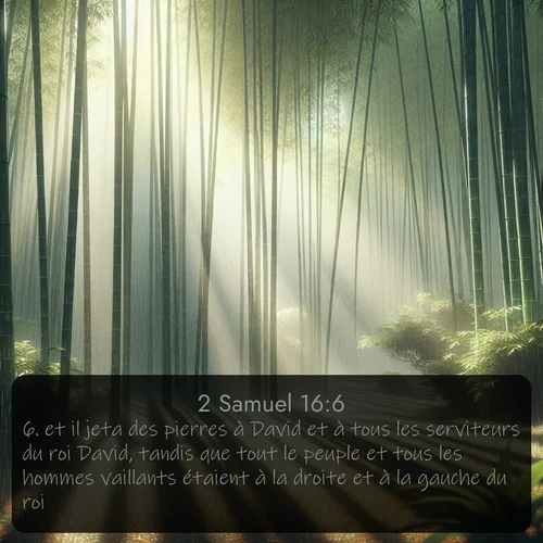 Segond 2 Samuel  ; image nature: image avec le verset biblique :et il jeta des pierres à David et à tous les serviteurs du roi David, tandis que tout le peuple et tous les hommes vaillants étaient à la droite et à la gauche du roi. ;  ; 16:6