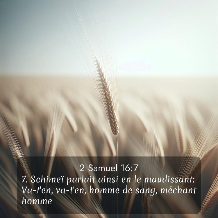 Segond 2 Samuel 16:7