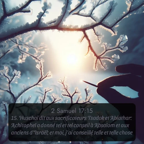 Segond 2 Samuel  ; image nature: image avec le verset biblique :Huschaï dit aux sacrificateurs Tsadok et Abiathar: Achitophel a donné tel et tel conseil à Absalom et aux anciens d&#039;Israël; et moi, j&#039;ai conseillé telle et telle chose. ;  ; 17:15
