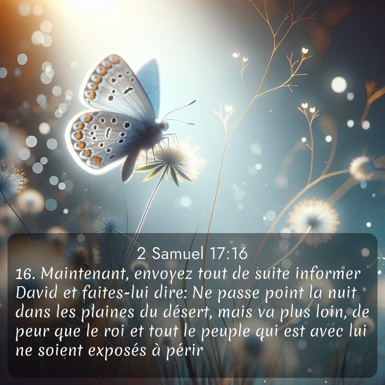 Segond 2 Samuel 17:16