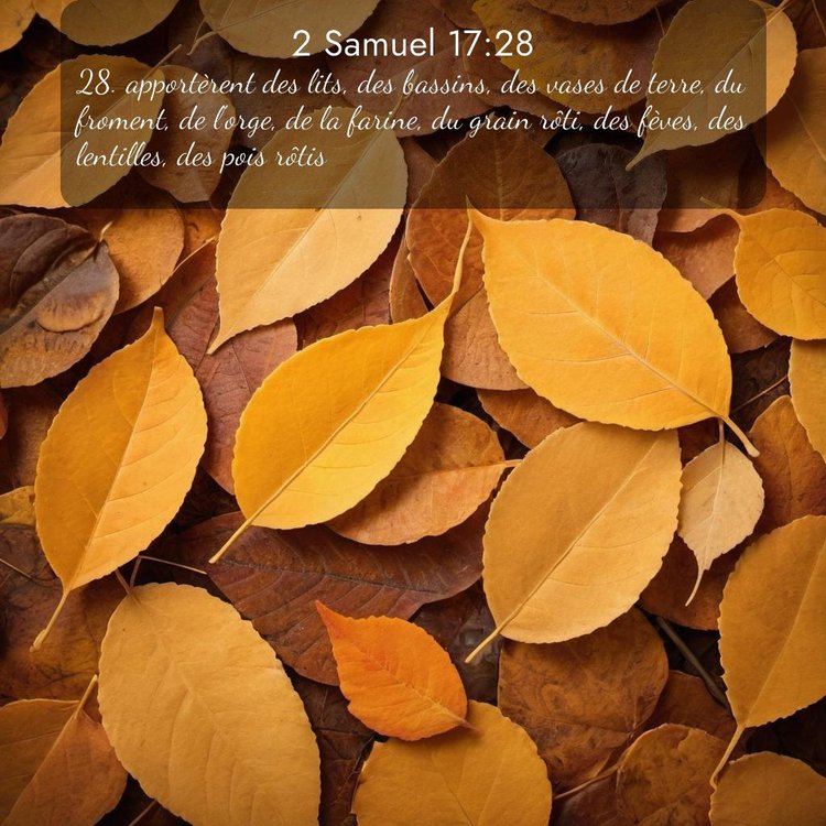 Segond 2 Samuel 17:28