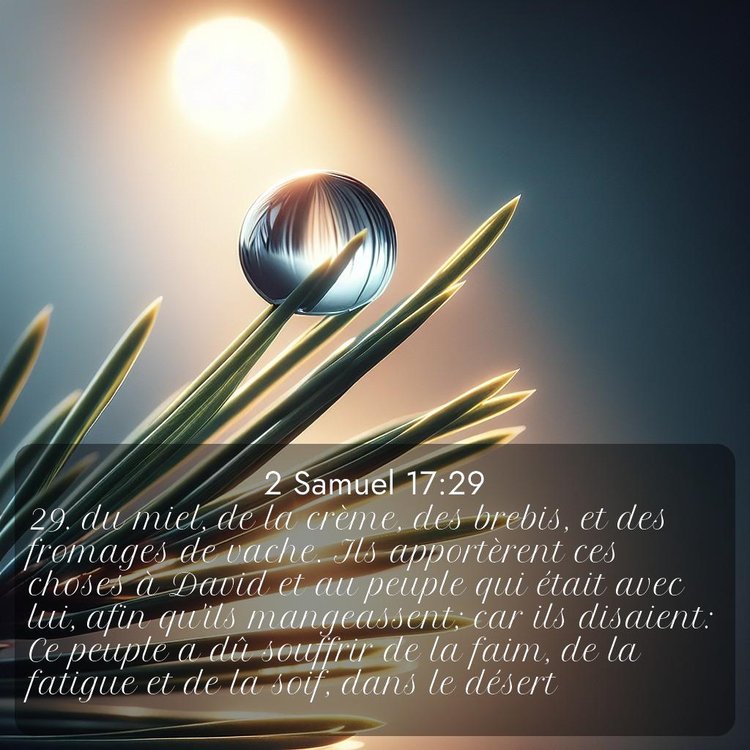 image nature avec verset biblique de la Bible