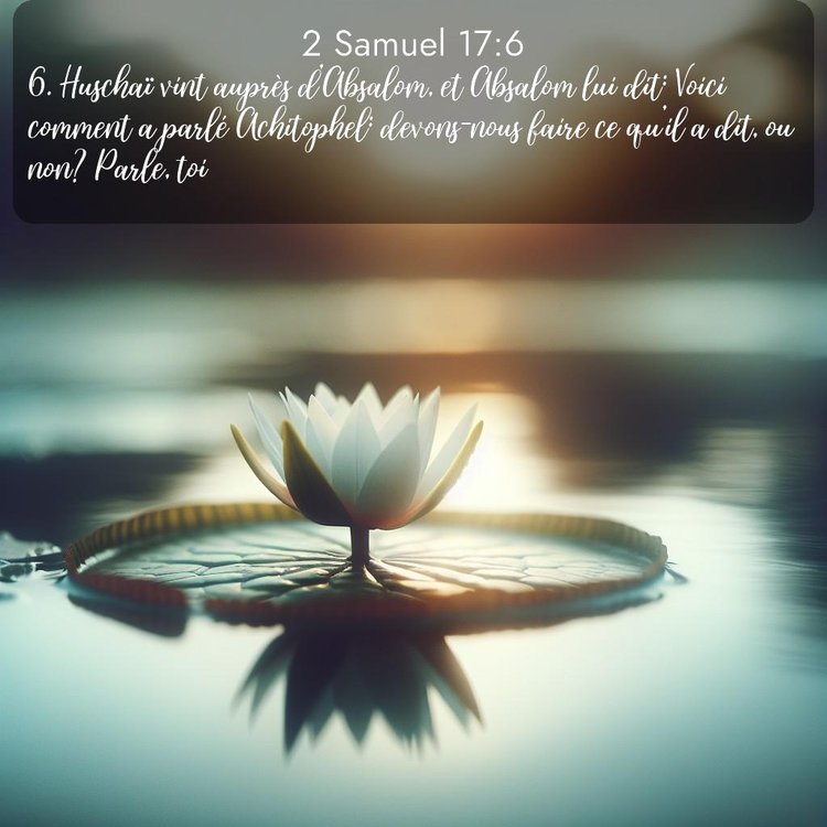 Segond 2 Samuel 17:6