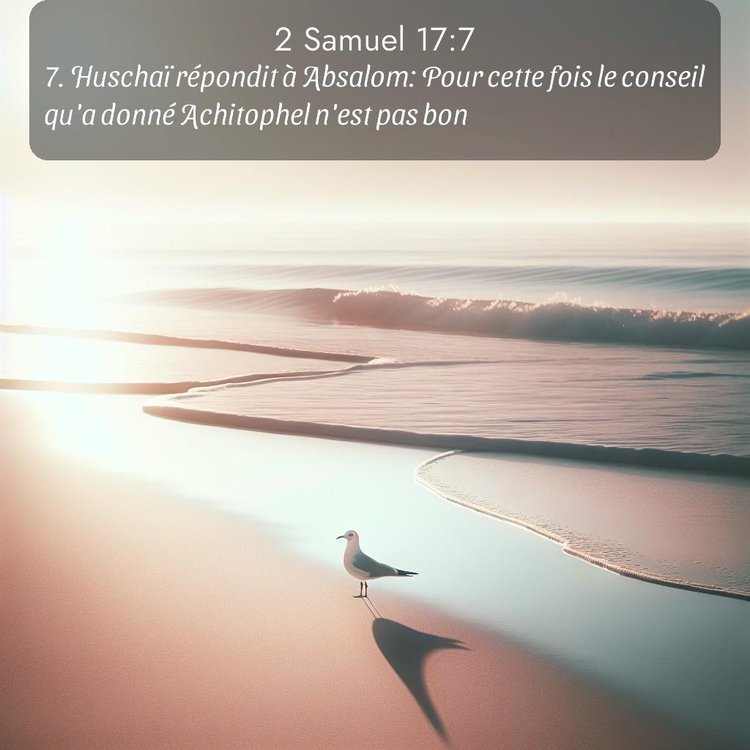 Segond 2 Samuel 17:7