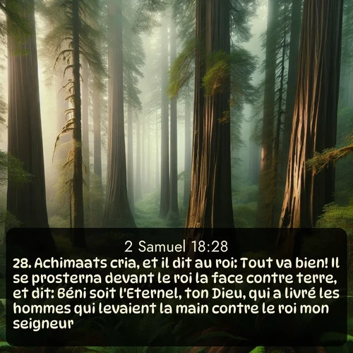 Segond 2 Samuel  ; image nature: image avec le verset biblique :Achimaats cria, et il dit au roi: Tout va bien! Il se prosterna devant le roi la face contre terre, et dit: Béni soit l&#039;Eternel, ton Dieu, qui a livré les hommes qui levaient la main contre le roi mon seigneur! ;  ; 18:28